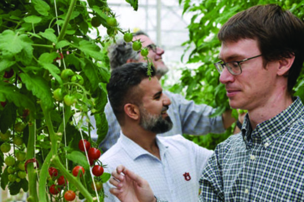 Biosystems: Researchers reimagine controlled environment agriculture